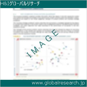 グローバルリサーチ調査レポートのイメージ